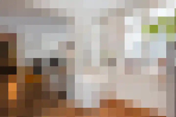 Tijmlaan 74 Ermelo thumbnail 19