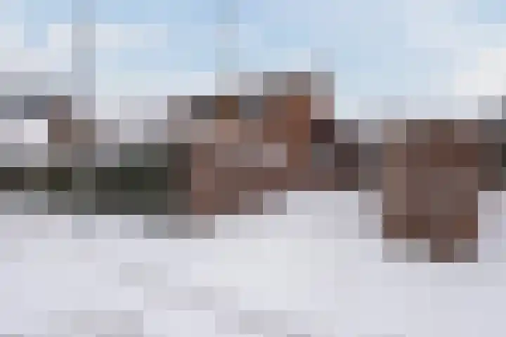 Tijmlaan 74 Ermelo foto 3
