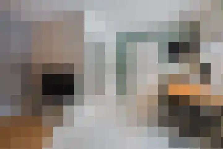 Tijmlaan 74 Ermelo thumbnail 33