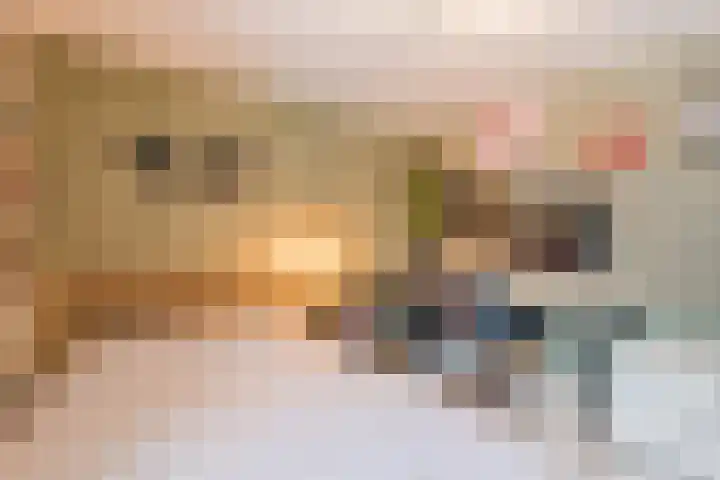 Tijmlaan 74 Ermelo thumbnail 43