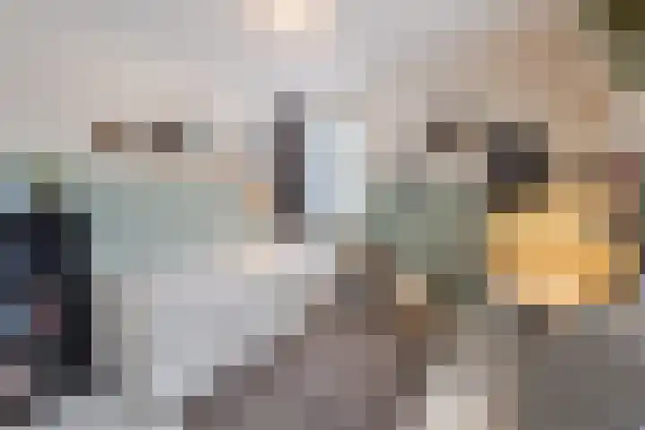 Tijmlaan 74 Ermelo thumbnail 46