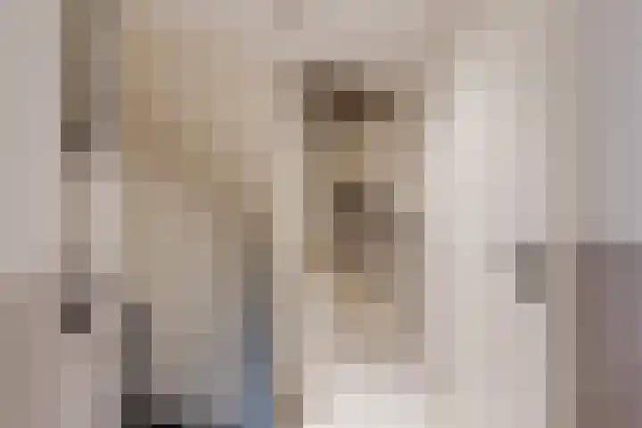 Tijmlaan 74 Ermelo thumbnail 57