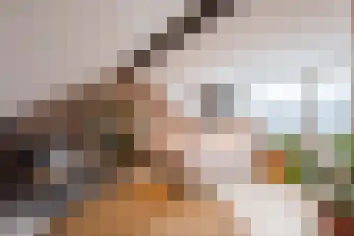 Tijmlaan 74 Ermelo thumbnail 59