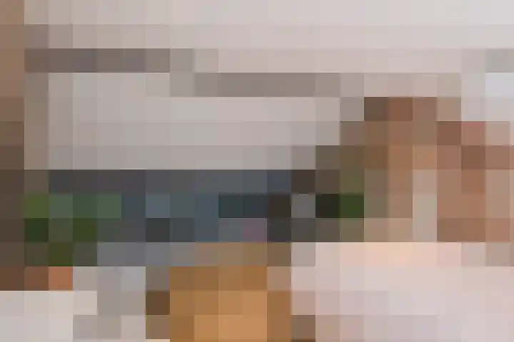 Tijmlaan 74 Ermelo thumbnail 61