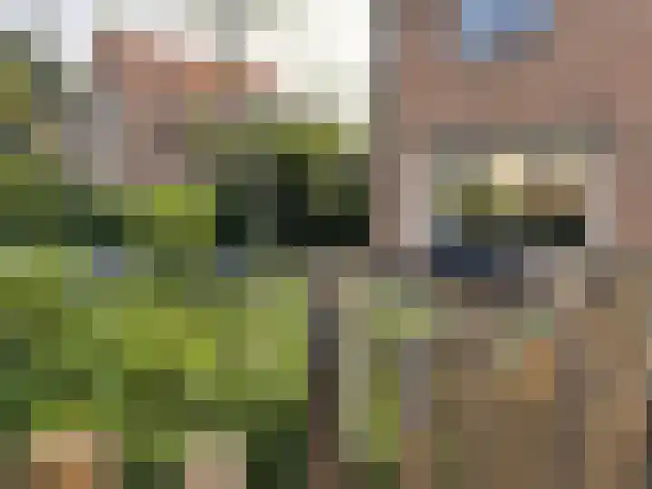 Tijmlaan 74 Ermelo thumbnail 7