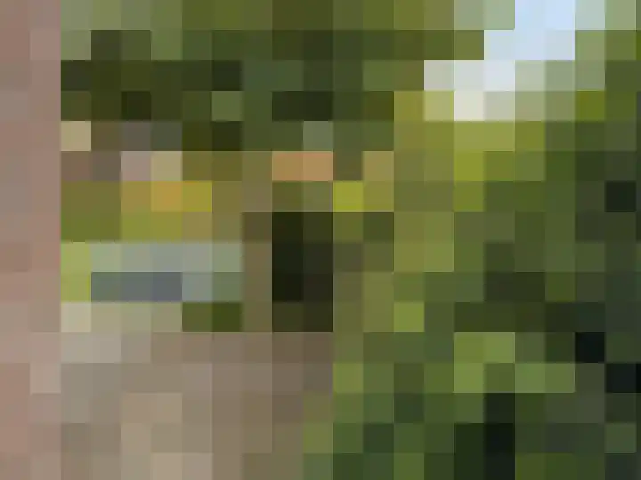 Tijmlaan 74 Ermelo thumbnail 8