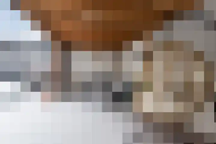 Tijmlaan 74 Ermelo thumbnail 80