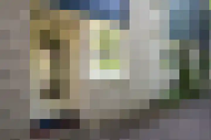 Tijmpad 21 Haren Gn thumbnail 10