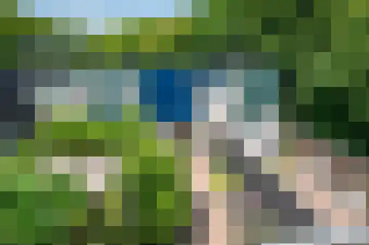 Tijmpad 21 Haren Gn thumbnail 23