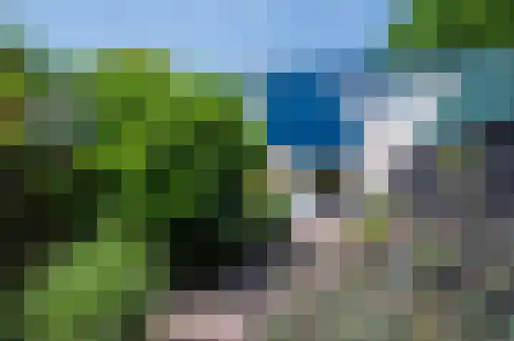 Tijmpad 21 Haren Gn thumbnail 24