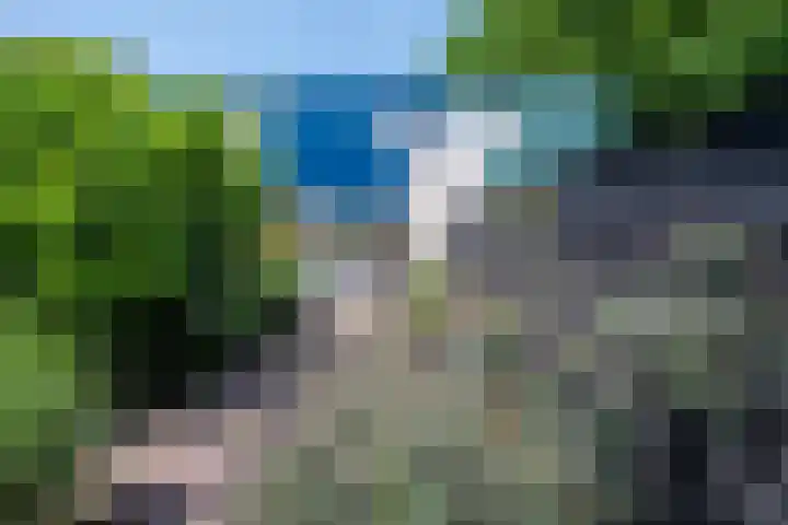 Tijmpad 21 Haren Gn thumbnail 25