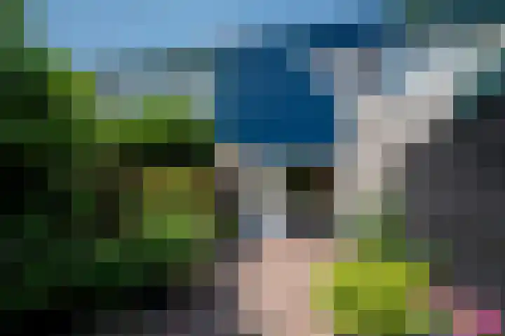 Tijmpad 21 Haren Gn thumbnail 26