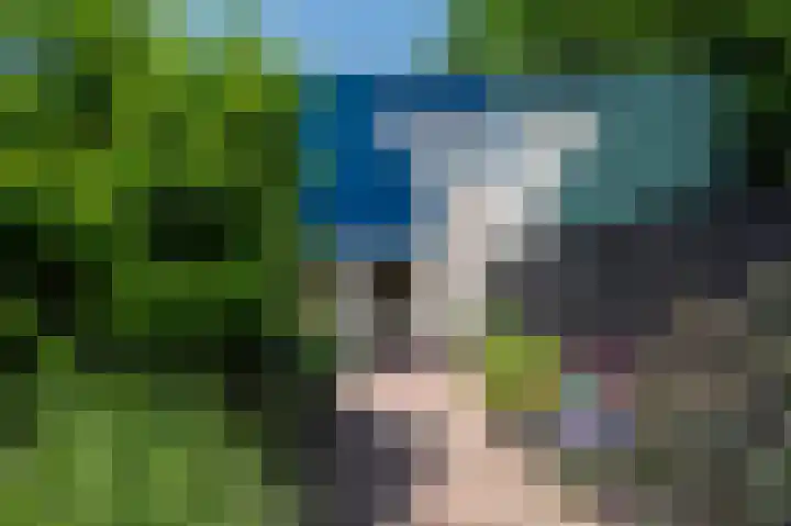 Tijmpad 21 Haren Gn foto 3