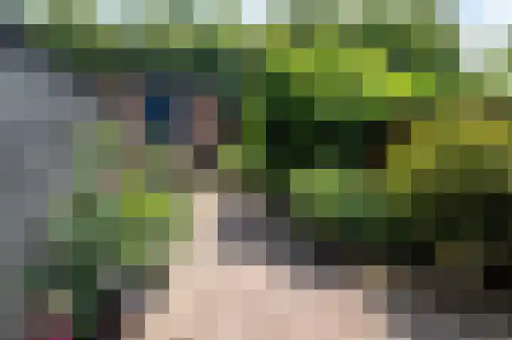 Tijmpad 21 Haren Gn thumbnail 4