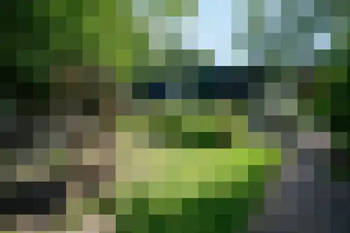 Tijmpad 21 Haren Gn thumbnail 6