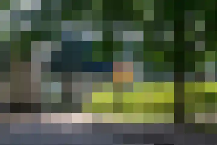 Tijmpad 21 Haren Gn thumbnail 7