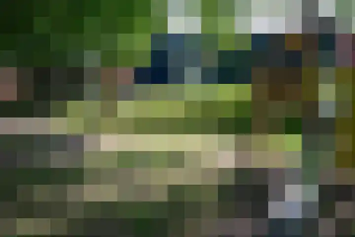 Tijmpad 21 Haren Gn thumbnail 8