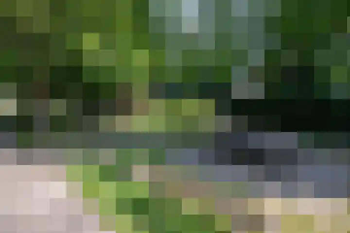 Tijmpad 21 Haren Gn thumbnail 9