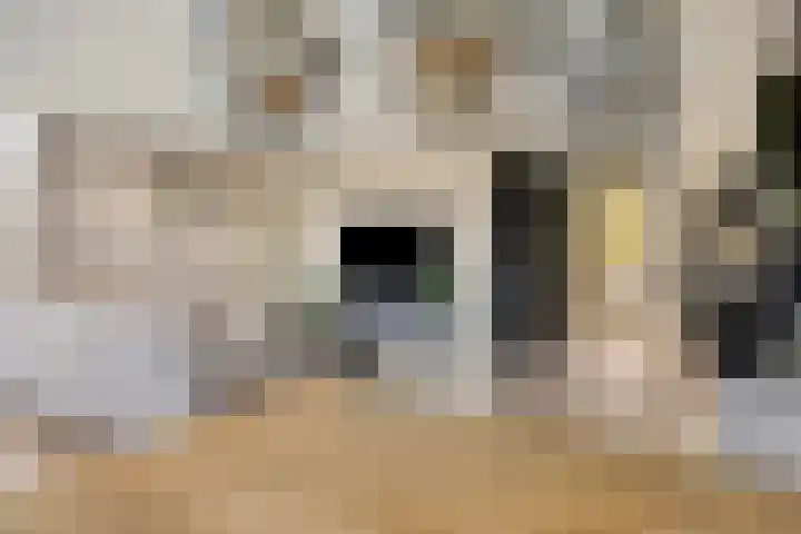 Tijmpark 14 Assen thumbnail 10