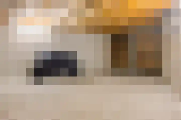 Tijmpark 14 Assen thumbnail 14