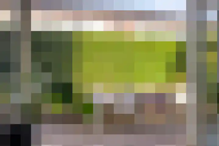 Tijmpark 14 Assen thumbnail 15