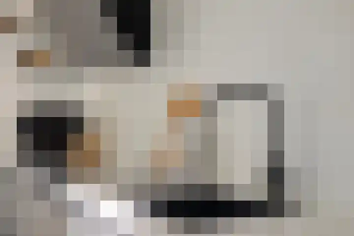 Tijmpark 14 Assen thumbnail 16