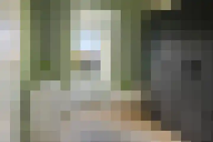 Tijmpark 14 Assen thumbnail 22