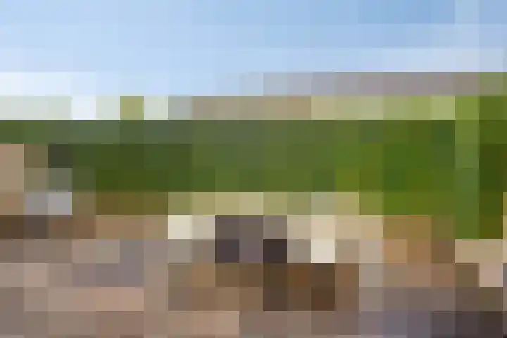 Tijmpark 14 Assen thumbnail 26