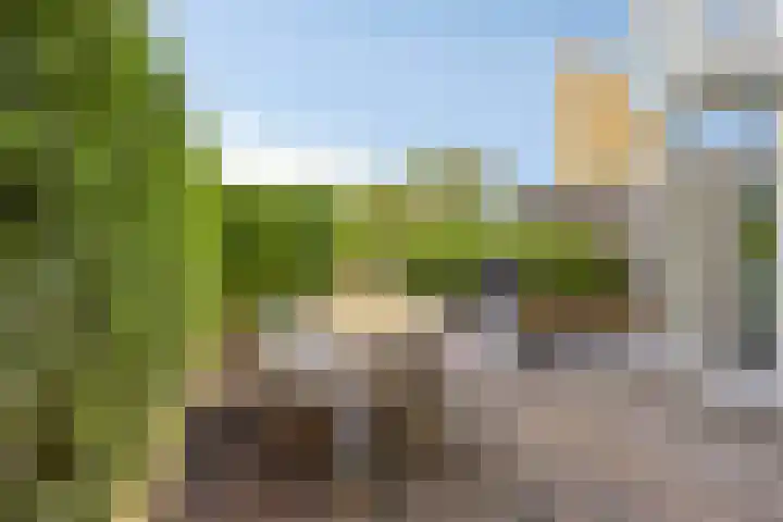 Tijmpark 14 Assen thumbnail 27