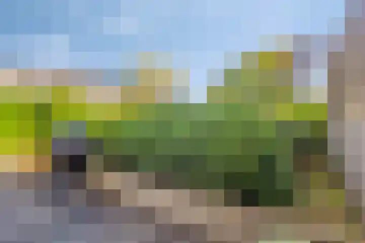 Tijmpark 14 Assen thumbnail 28