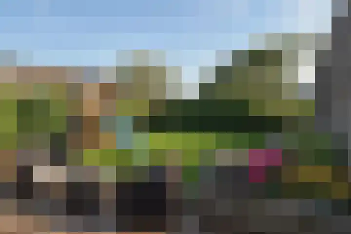 Tijmpark 14 Assen thumbnail 29