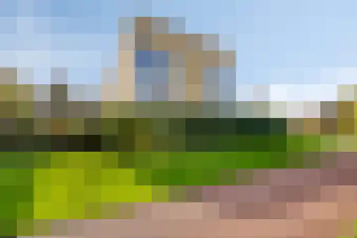 Tijmpark 14 Assen thumbnail 31