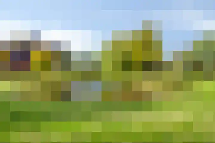 Tijmpark 14 Assen thumbnail 32