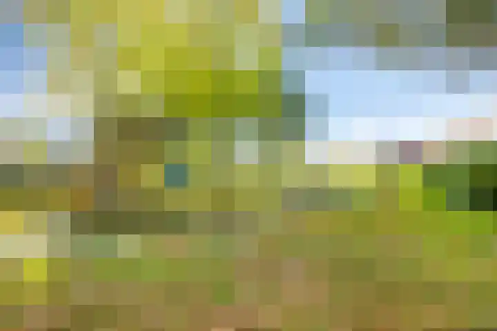 Tijmpark 14 Assen thumbnail 33