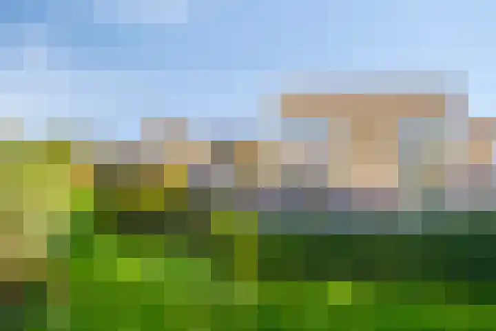 Tijmpark 14 Assen thumbnail 34
