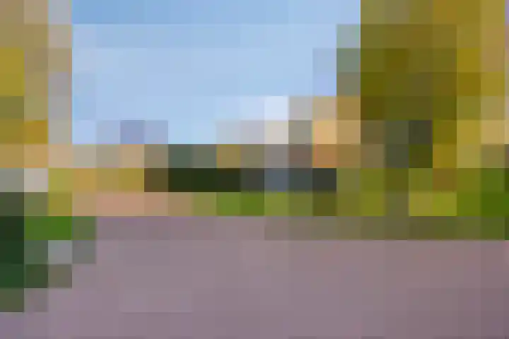 Tijmpark 14 Assen thumbnail 35