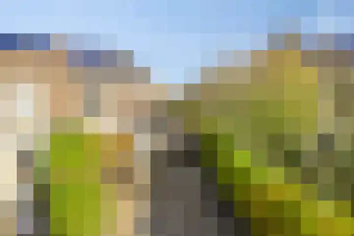 Tijmpark 14 Assen thumbnail 36
