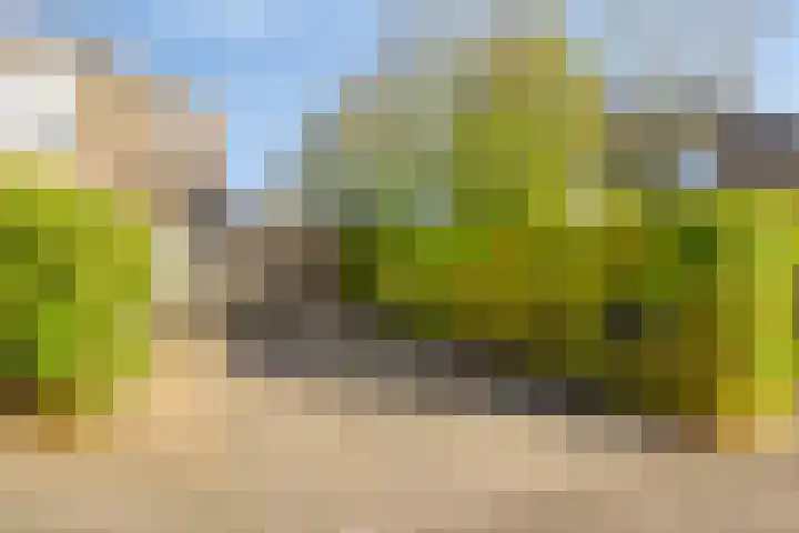 Tijmpark 14 Assen thumbnail 38