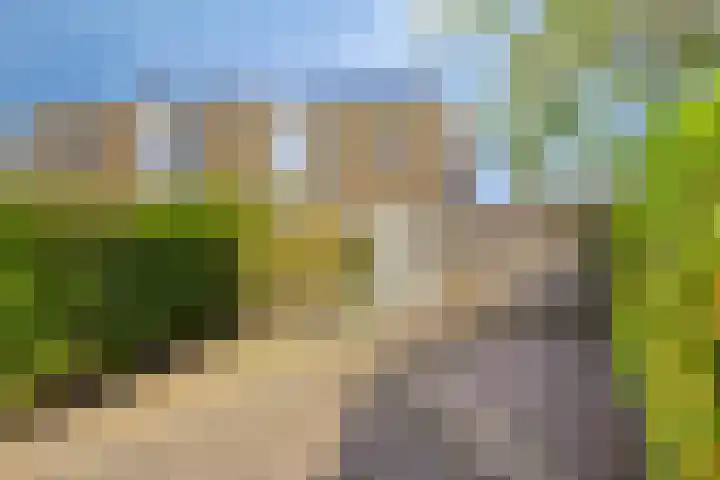 Tijmpark 14 Assen thumbnail 4