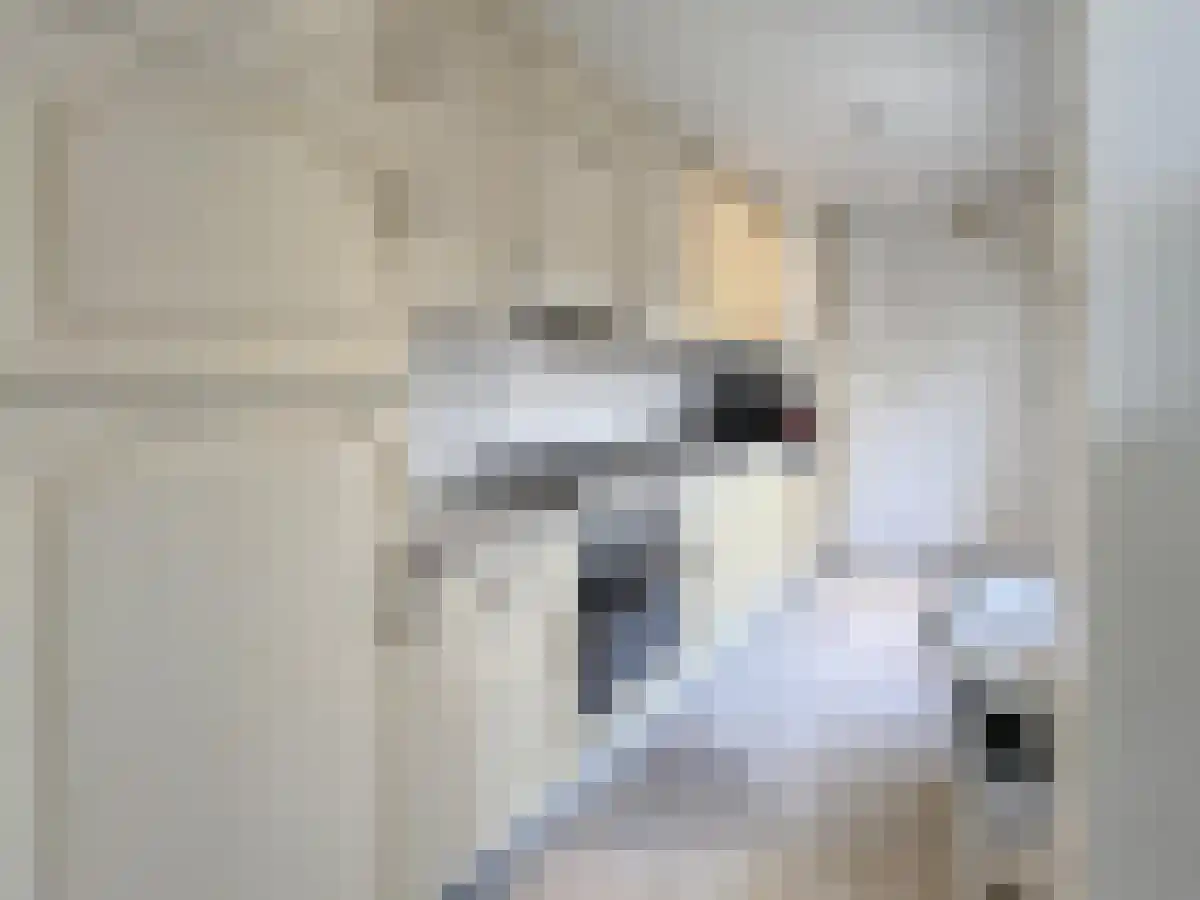 Tijmstraat 1 Utrecht thumbnail 6