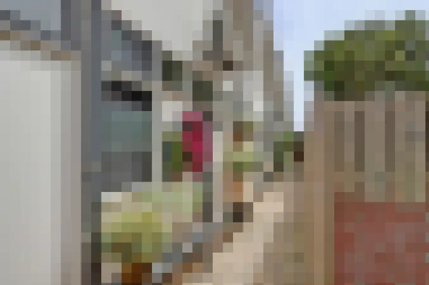 Tijmstraat 17 C Katwijk thumbnail 22