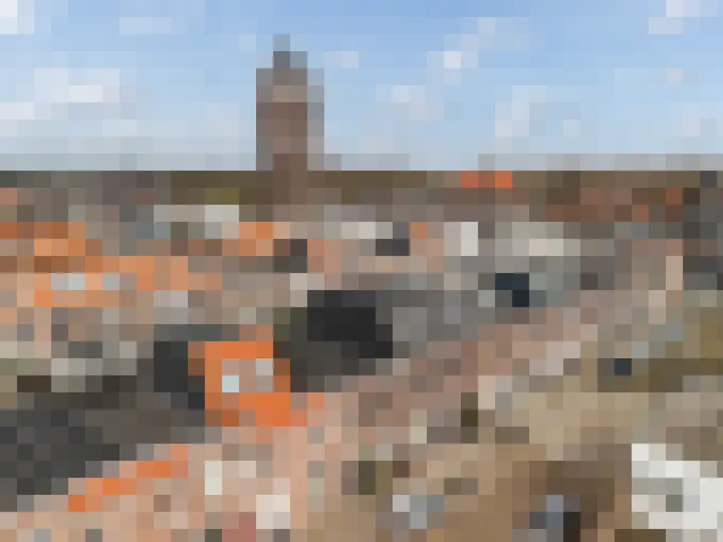 Tijmstraat 23 Utrecht thumbnail 24