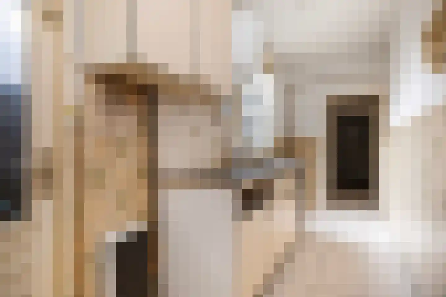 Tijmstraat 23 Utrecht thumbnail 5