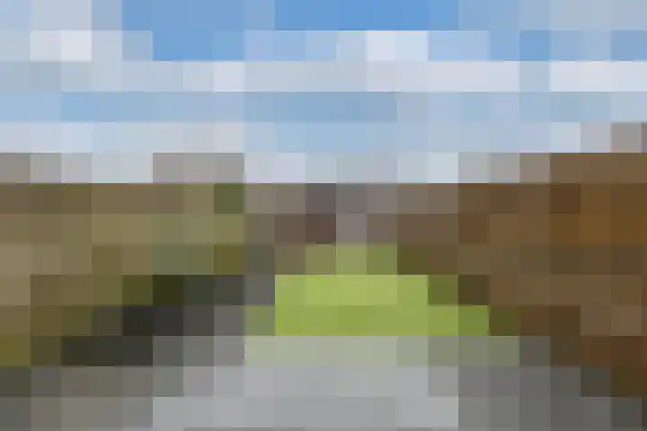 Tijmstraat 33 Assen thumbnail 35