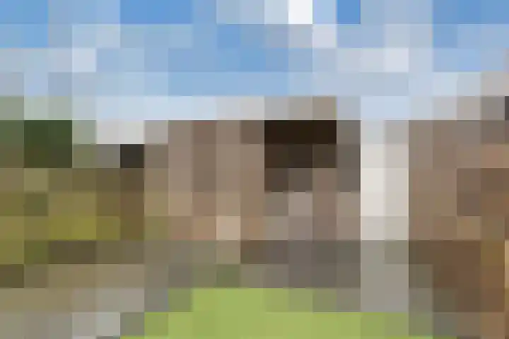 Tijmstraat 33 Assen thumbnail 36