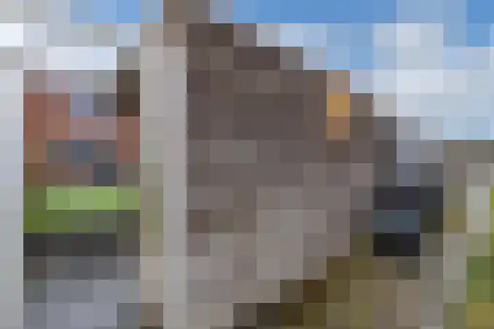 Tijmstraat 33 Assen thumbnail 38