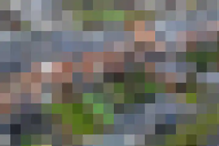 Tijmstraat 33 Assen thumbnail 39