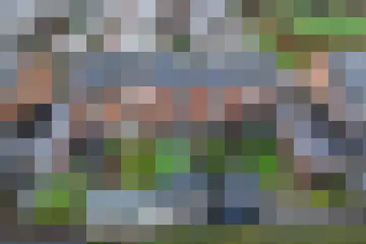 Tijmstraat 33 Assen thumbnail 6