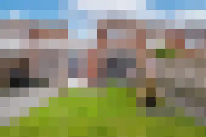 Tijmstraat 37 Assen thumbnail 33