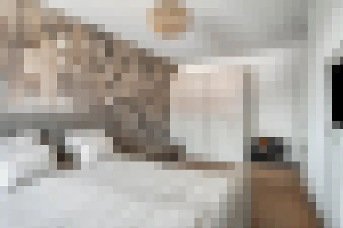 Tijmstraat 4 Elburg thumbnail 22